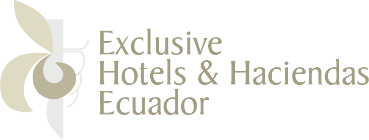 Exclusive Travel Card